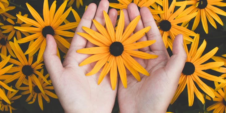 Uma pessoa em um campo de flores segurando uma flor.