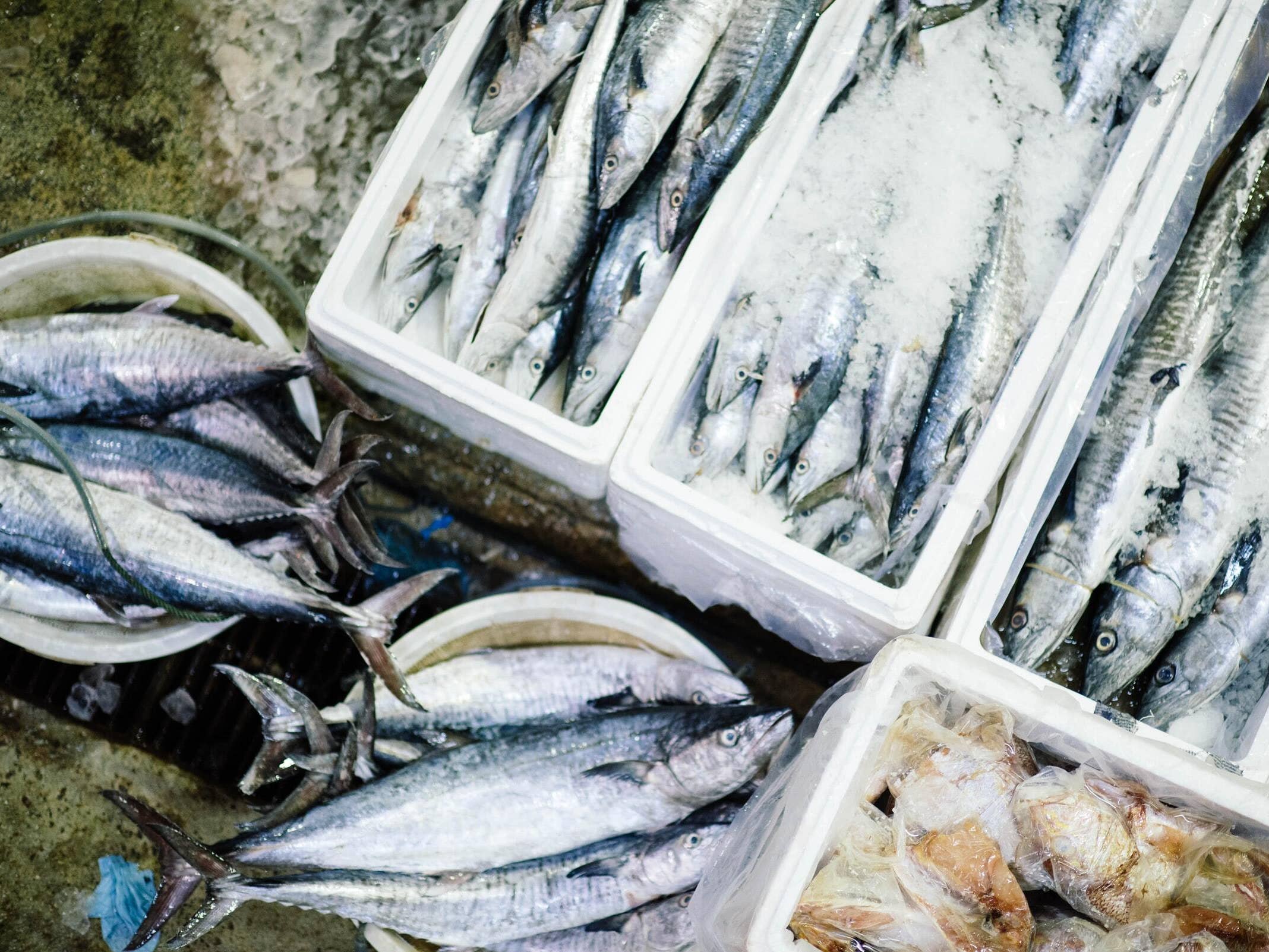 Nombres para pescaderías