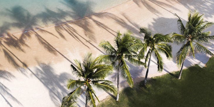 Vista aérea de una playa con arena blanca, agua azul turquesa y palmeras en un negocio de tours a West Bay Beach.