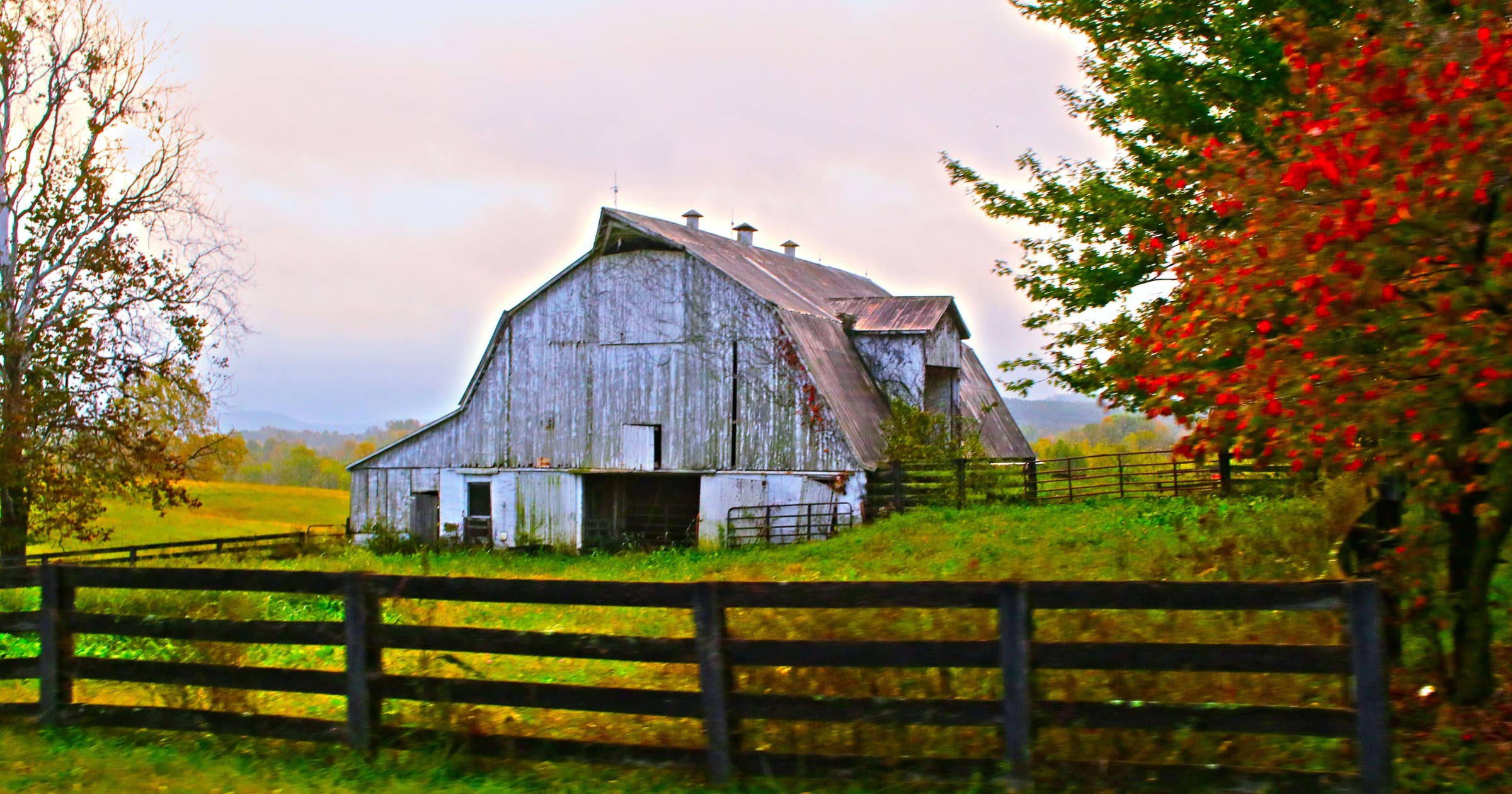 Kentucky Business Search