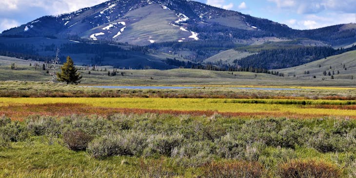 La vista de un campo de hierba y montañas de Gardiner en una empresa de Montana.