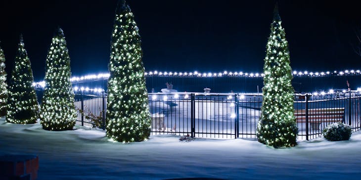 Christmas trees decorated with lights outside in the snow at night.