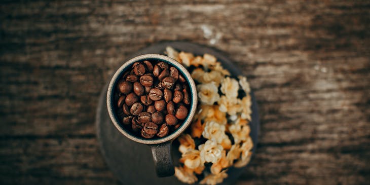 Granos de café dentro de una taza en una tostaduría de café