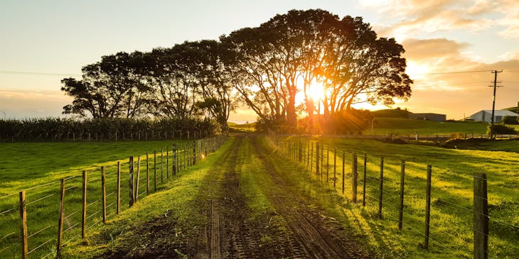 Pôr do sol em um campo.