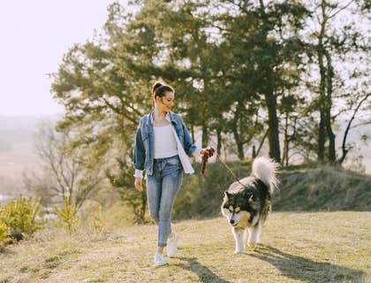 Fun dog park names