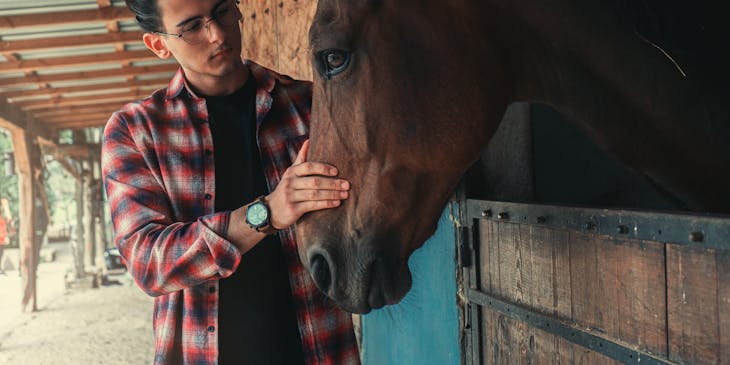 Un homme caresse un cheval dans un centre d'équithérapie.