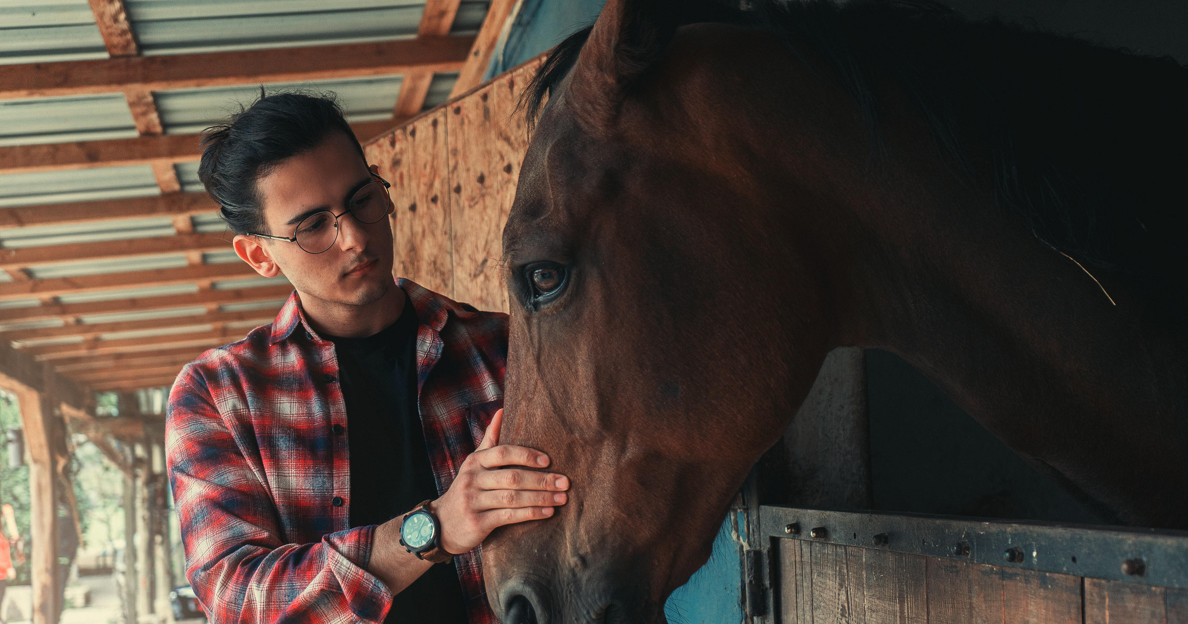 equine-therapy-business-names