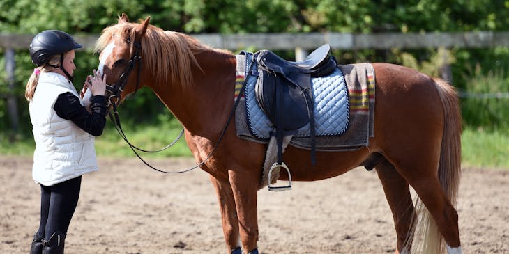 Menina em um serviço de passeio a cavalo fazendo carinho em um cavalo marrom.