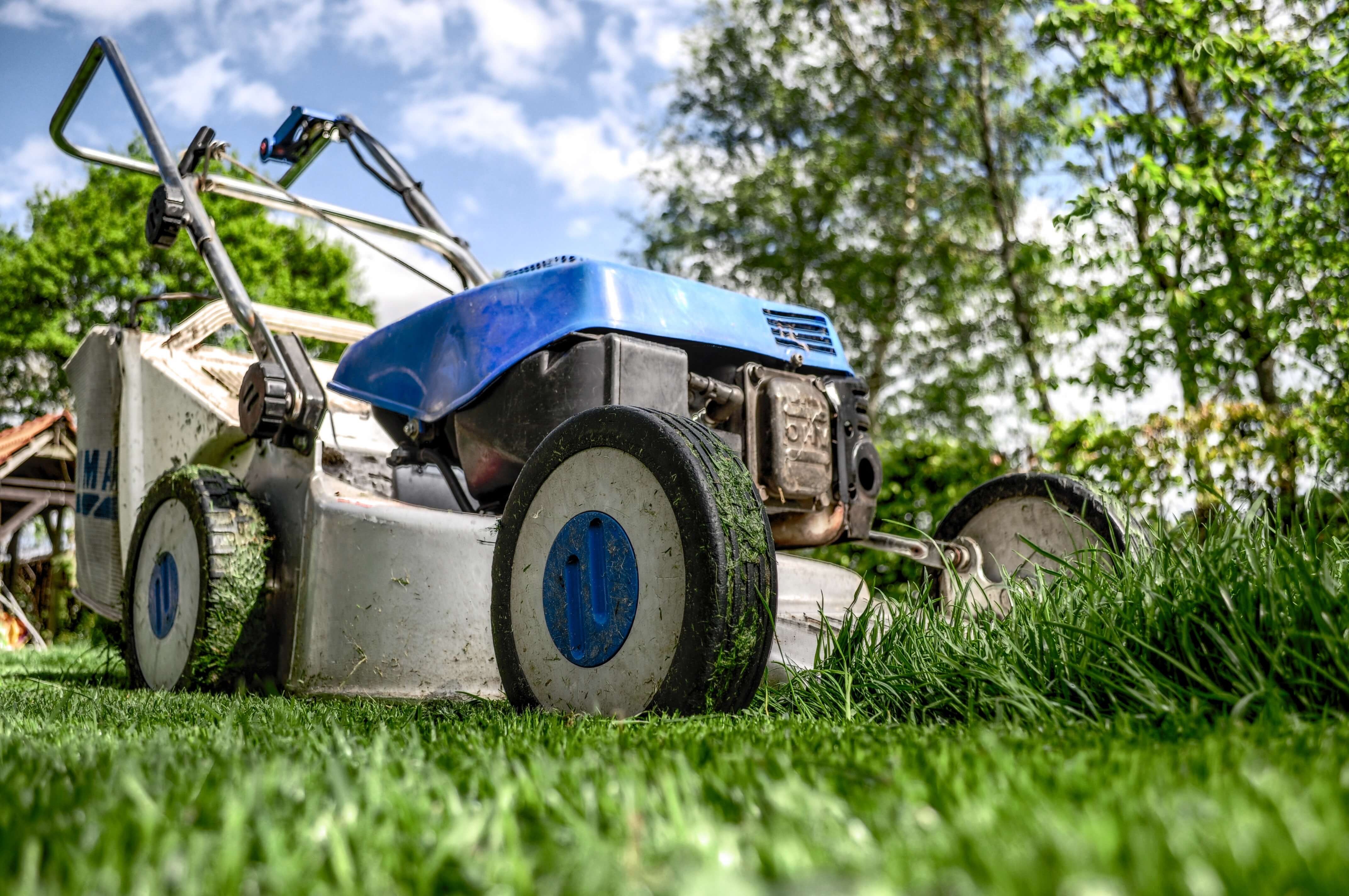 lawn care business names