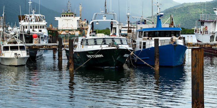 Barcos pesqueros de una empresa pesquera en un muelle.