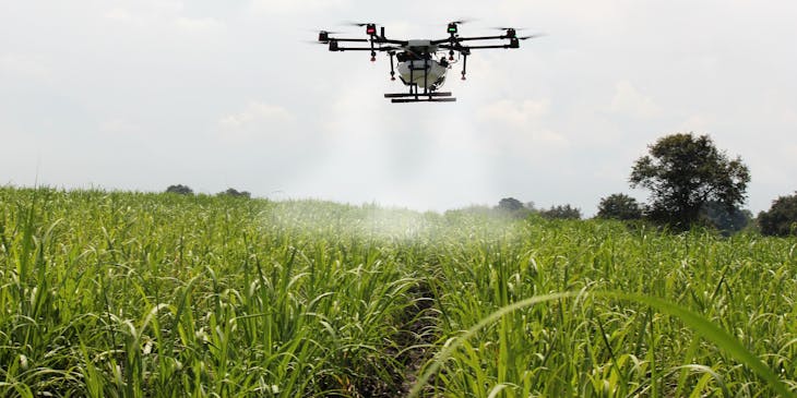 Dron de una empresa fumigadora fumigando sobre un sembradío en el campo.