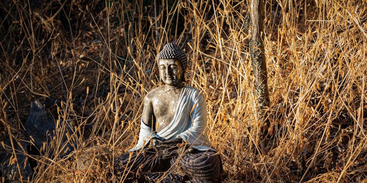 Figura de buda en medio de un paisaje seco en un negocio budista.