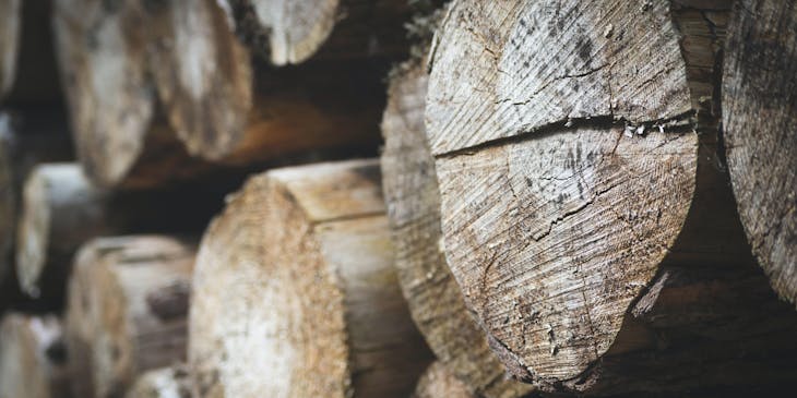 Un grupo de troncos de madera en un aserradero.