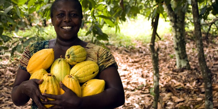 Una recolectora sonriendo y mostrando su cosecha en el campo de una empresa de cacao de Chuao.