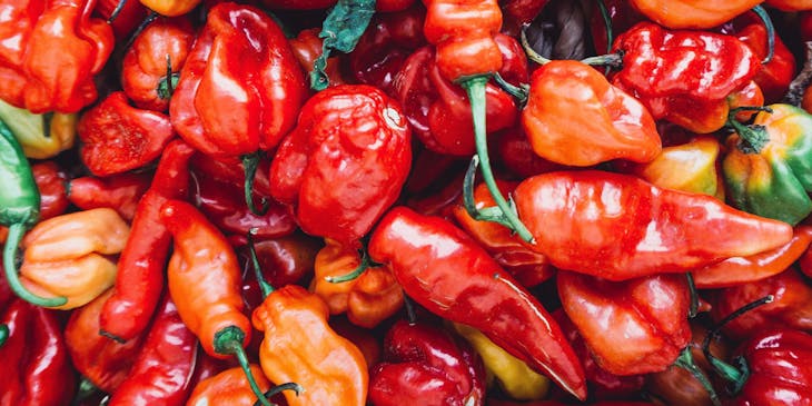 Una variedad de chiles habaneros mezclados entre sí en un negocio de chile habanero.