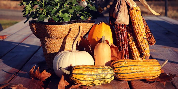 Un par de mazorcas de elote y algunas calabazas listas para formar parte de un platillo de locro en un negocio de locro.