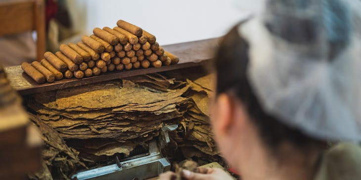 Una mujer trabajando con hojas de tabaco en un negocio de torcedor de puros.