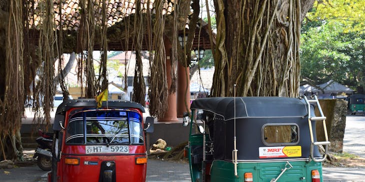 Dos bicitaxis estacionados bajo unos árboles en un negocio de bicitaxis.